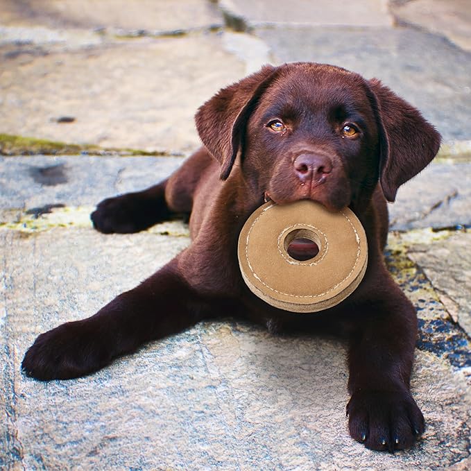 Durafused natural leather chunkies dog toy