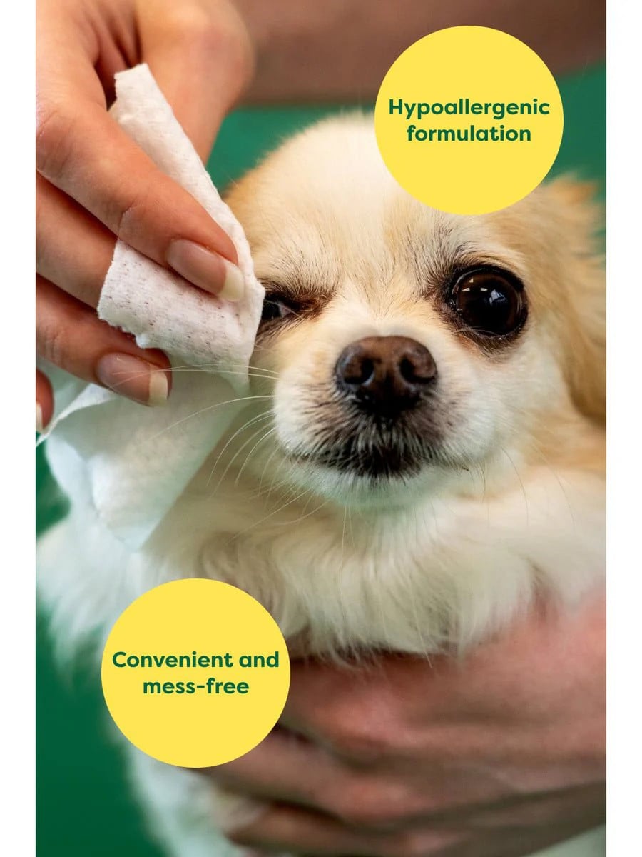 Earth rated fragrance free pet eye wipes 60ct