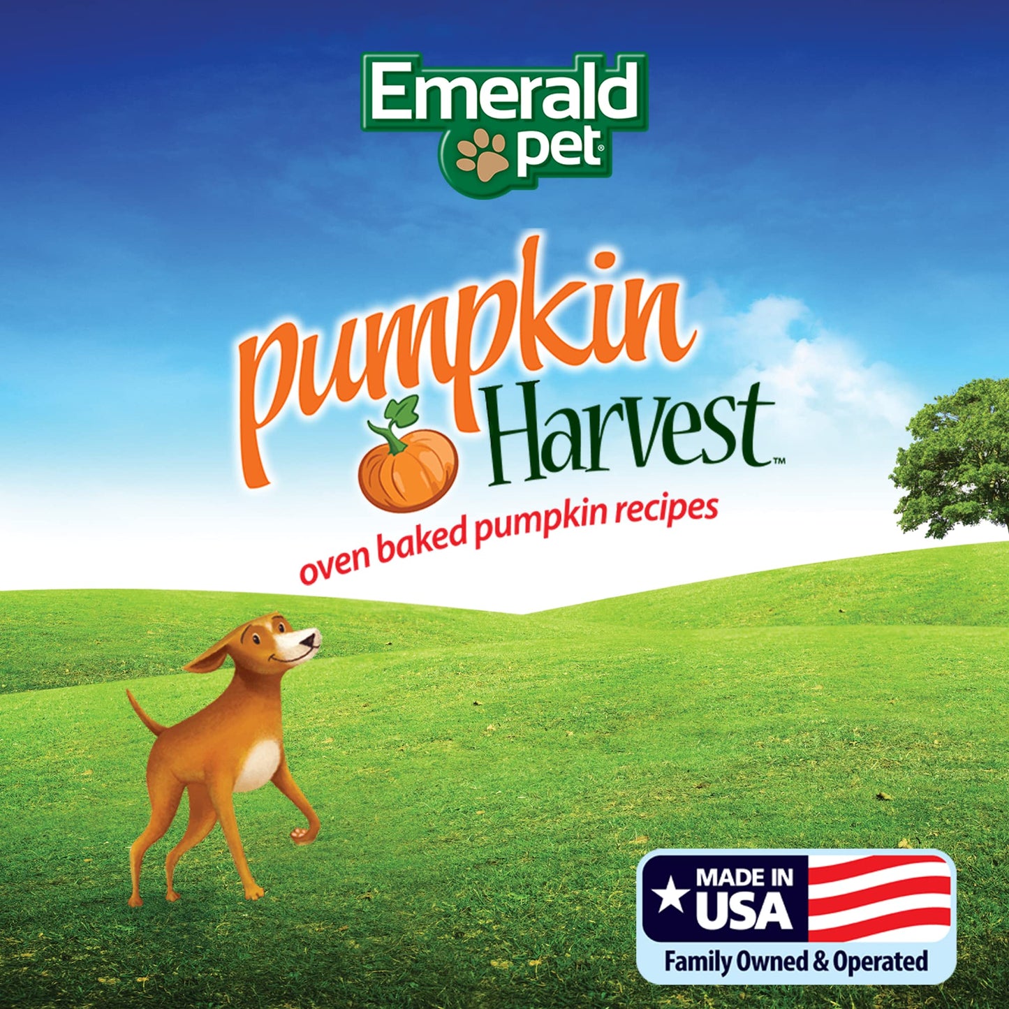 Emerald Pet Pumpkin Harvest Mini Trainers Pumpkin with Mixed Berry Chewy Dog Treats Made in The USA, Pumpkin with Mixed Berry 6oz (Mixed Berry Mini)