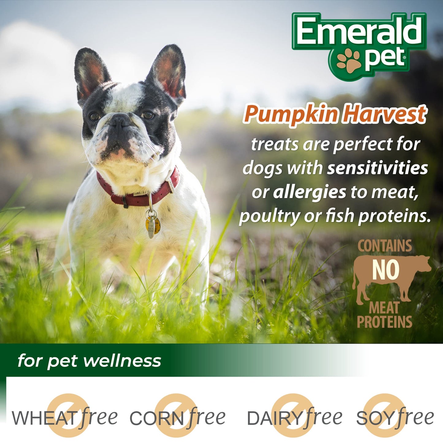Emerald Pet Pumpkin Harvest Mini Trainers Pumpkin with Mixed Berry Chewy Dog Treats Made in The USA, Pumpkin with Mixed Berry 6oz (Mixed Berry Mini)