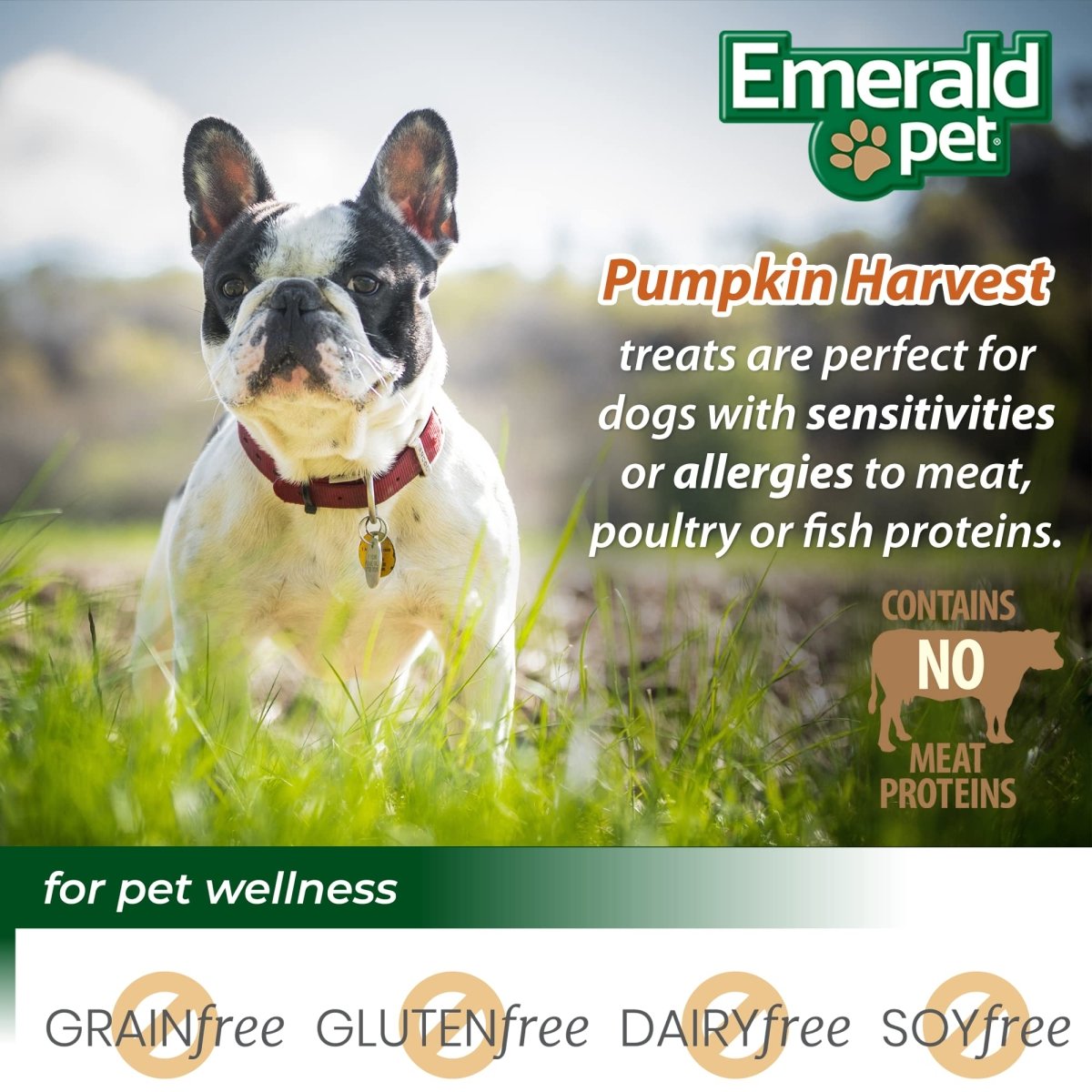Emerald Pet Pumpkin Harvest Pumpkin Dog Treats — Low - Fat Chewy Natural Dog Treats with Pumpkin for Digestive Health — Meat Free, Poultry Free, Wheat Free Dog Treats — Apple, 6 oz - 856916006465