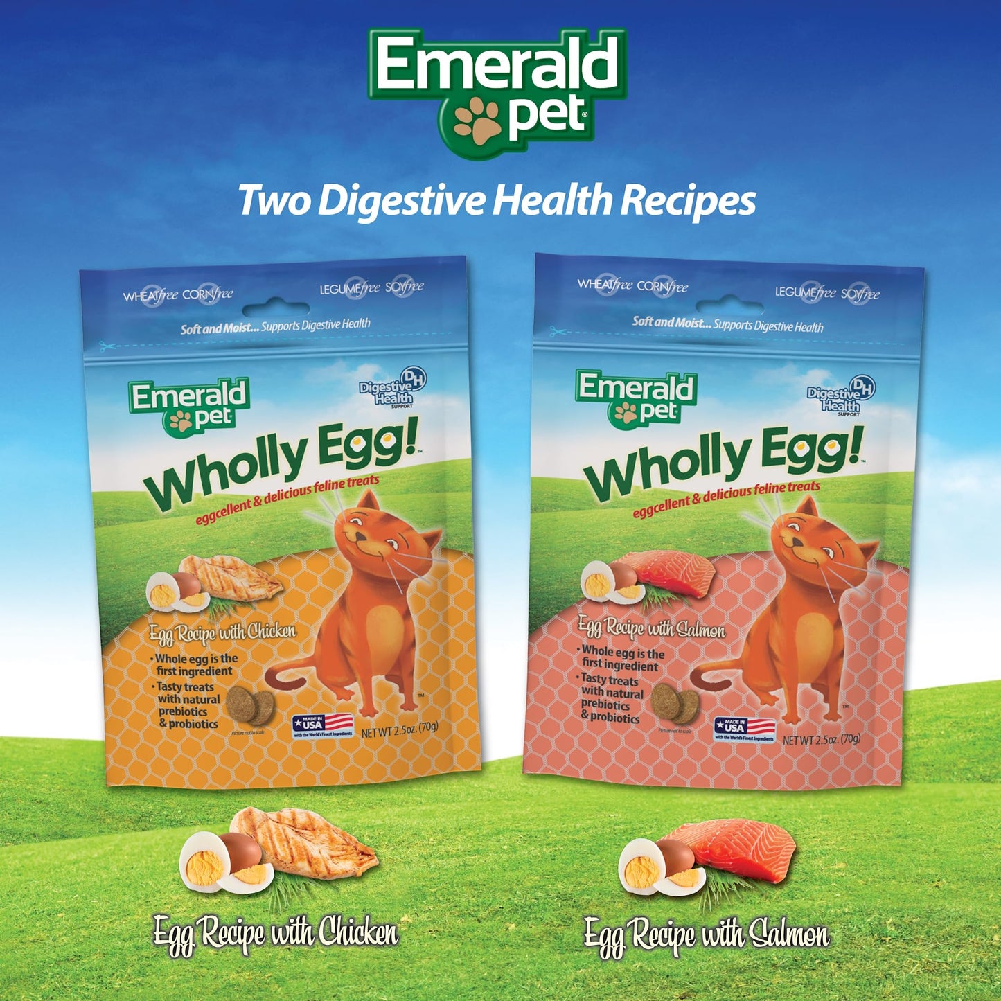 Emerald Pet Wholly Egg Digestive Health Cat Treats - Soft and Moist cat Treats for Healthy Digestion - Natural Prebiotics and Probiotics for cat Digestion - Salmon Treats, 2.5 oz