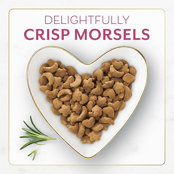 Fancy feast filet mignon flavor dry cat food 12lb