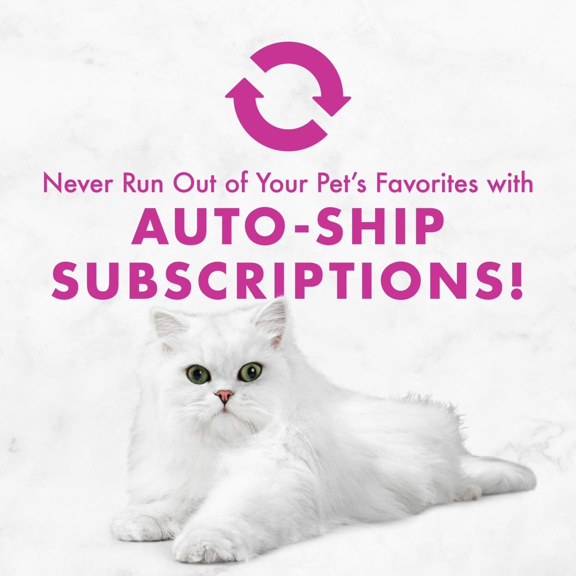 Fancy Feast Poultry And Beef Feast Classic Pate Collection Grain Free Wet Cat Food Variety