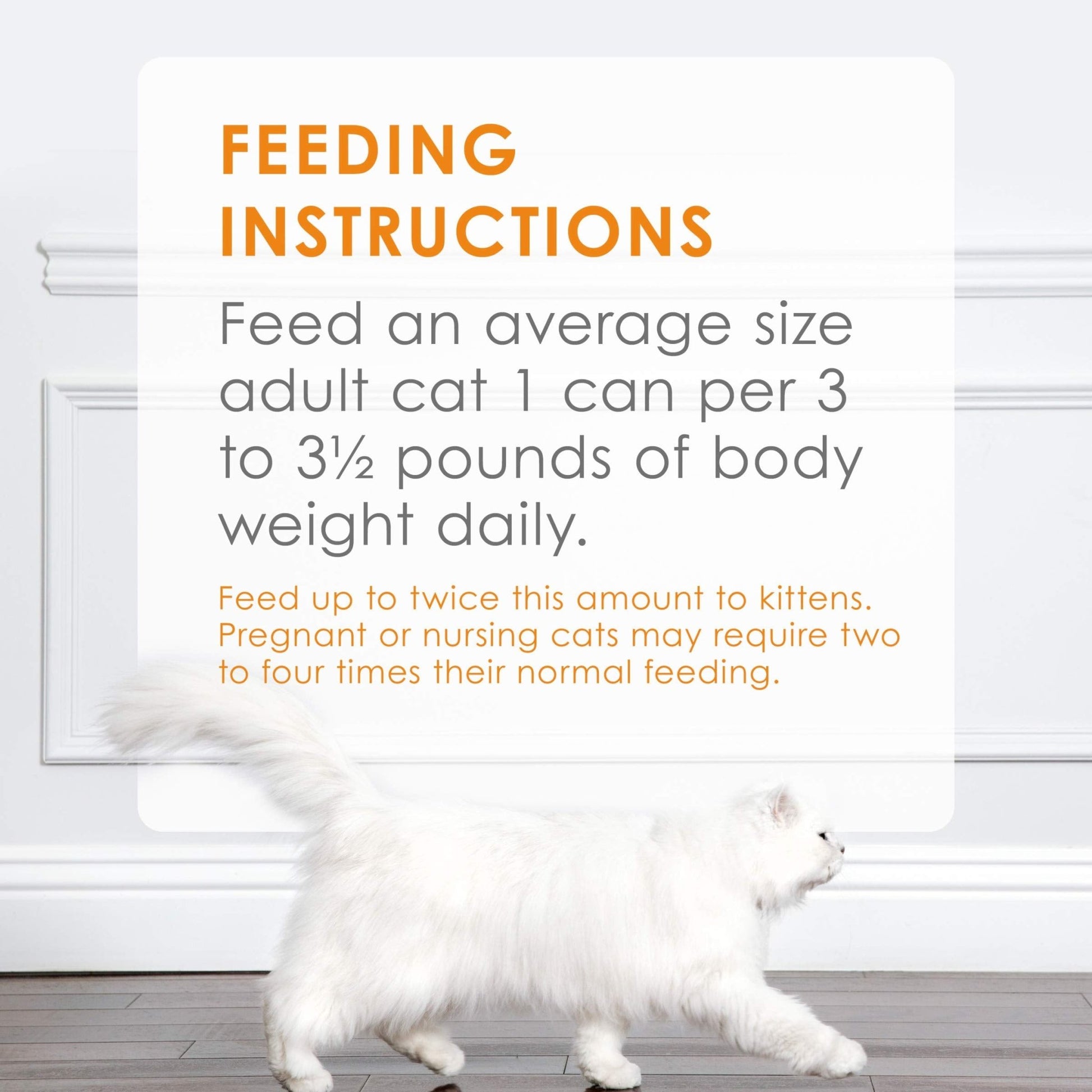 Fancy Feast Poultry And Beef Feast Classic Pate Collection Grain Free Wet Cat Food Variety