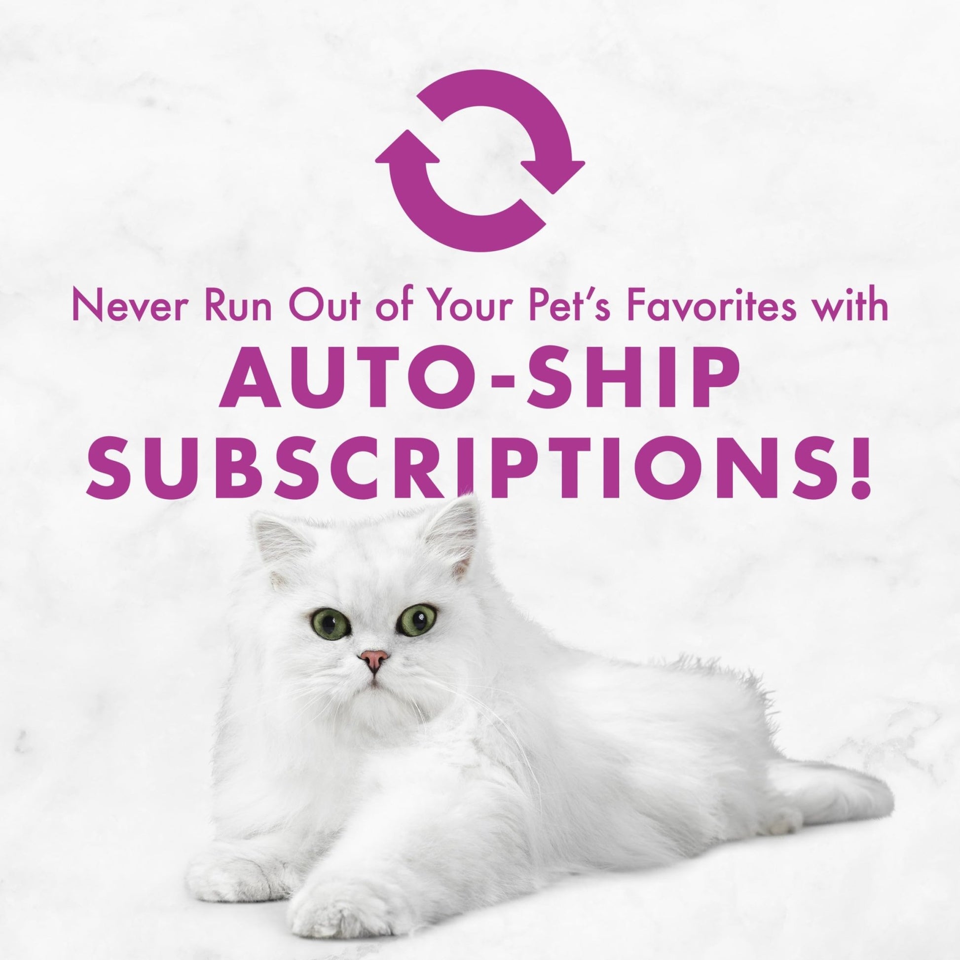 Fancy Feast Poultry And Beef Feast Classic Pate Collection Grain Free Wet Cat Food Variety