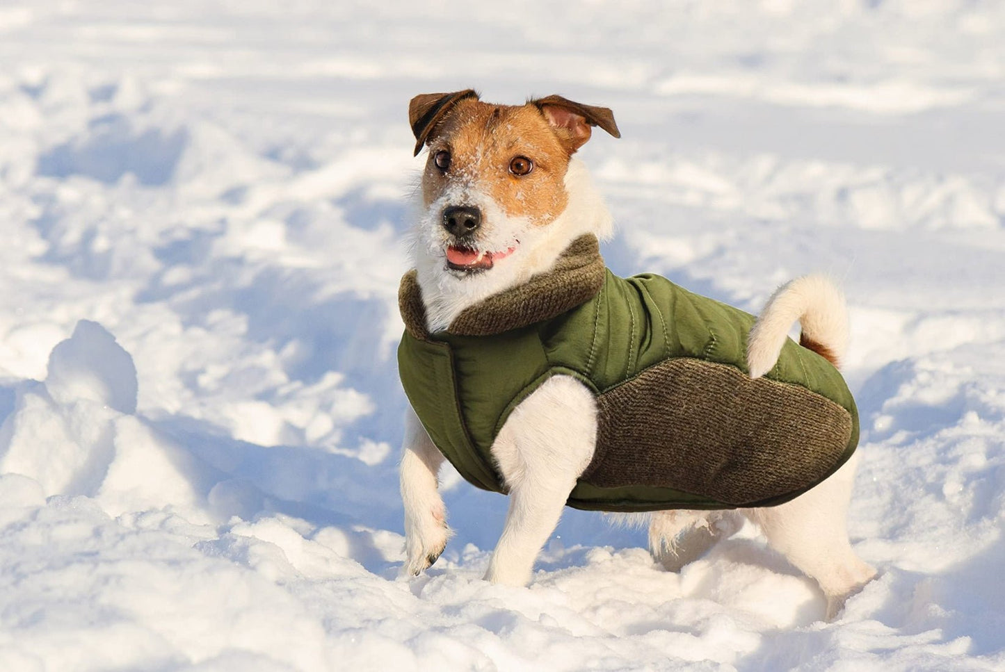 Fashion pet coat reversible dog puffy sweater jacket pet apparel size extra large olive green