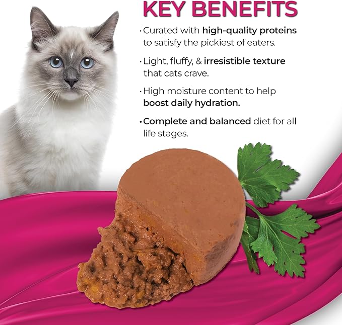 Fine dinning mousse sardine with pumpkin entree in gravy 70g cat food