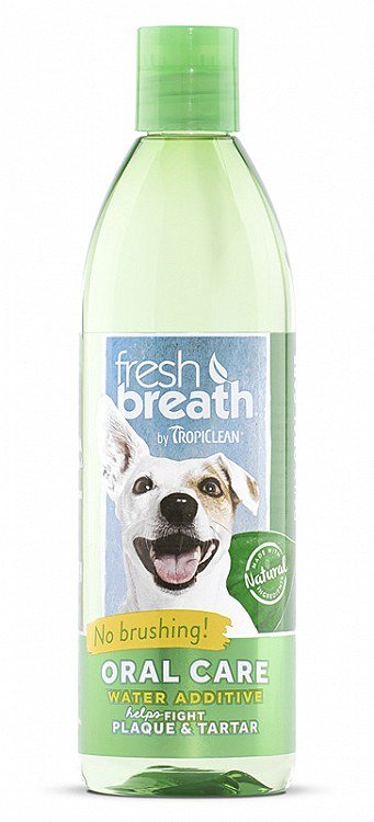 Fresh breath dental health 16 oz