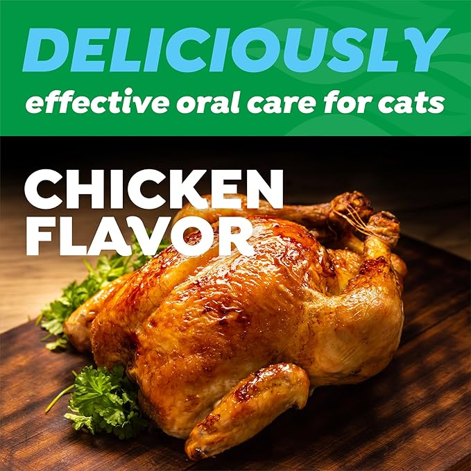 Fresh breath dental kit for cats