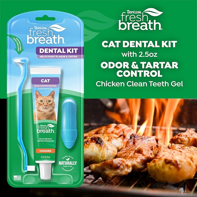 Fresh breath dental kit for cats