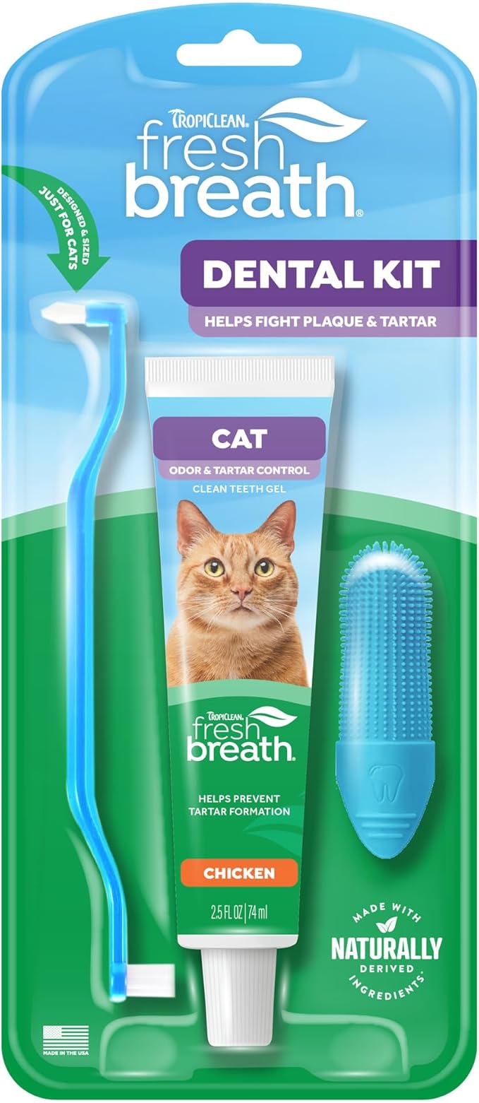 Fresh breath dental kit for cats