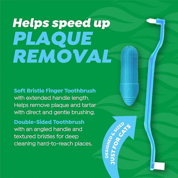Fresh breath dental kit for cats