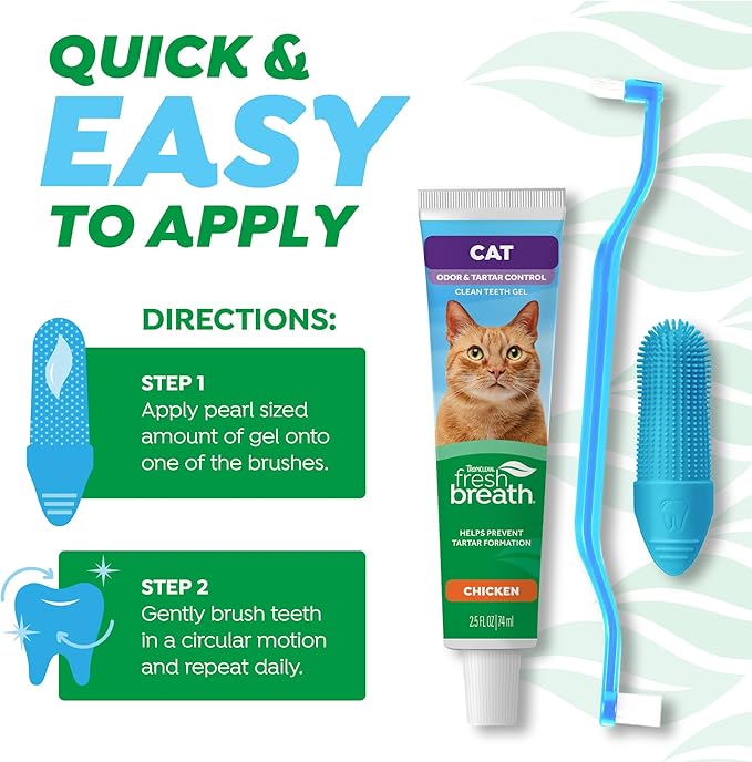 Fresh breath dental kit for cats