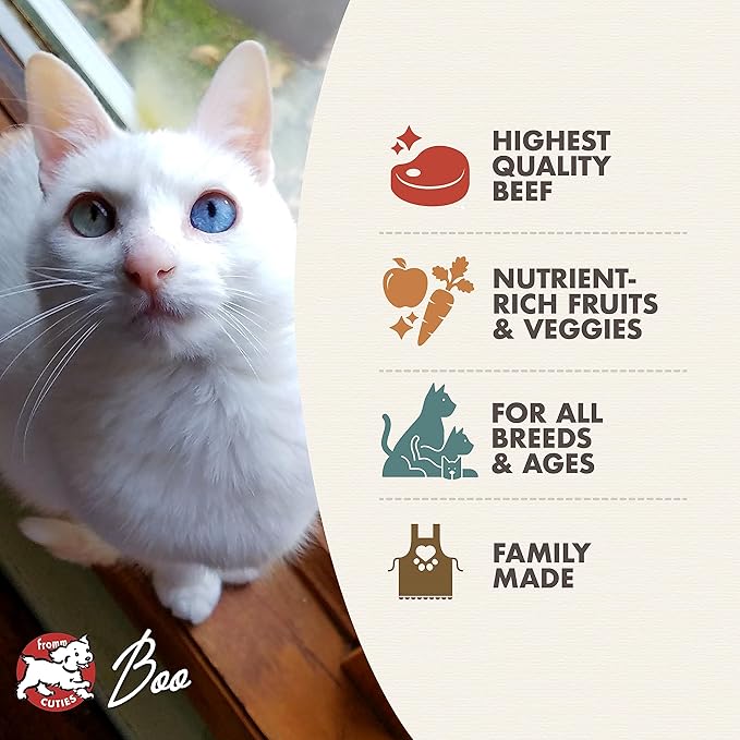 Fromm beef livattini veg recipe dry cat food 4lbs