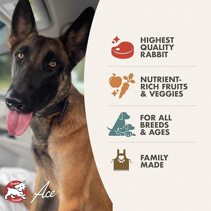 Fromm duckenpfeffer recipe dog food 4lb