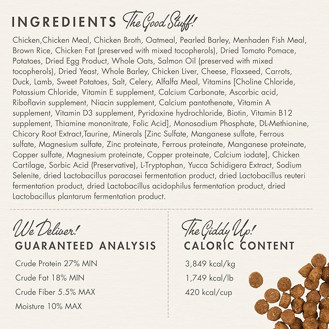 Fromm family gold puppy recipe food for dogs dry kibble 5lbs