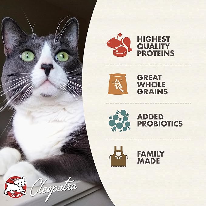 Fromm family healthy weight gold pounds Sante cat food 4lbs