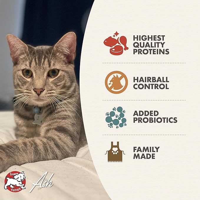 Fromm family indoor cat hairball control gold adult cat food