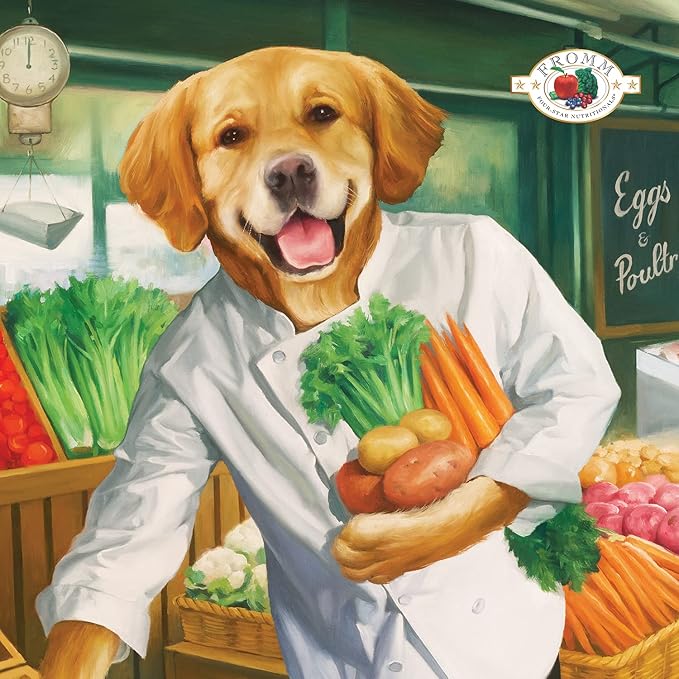 Fromm four star duck vegetables dry dog food kibble 4lbs