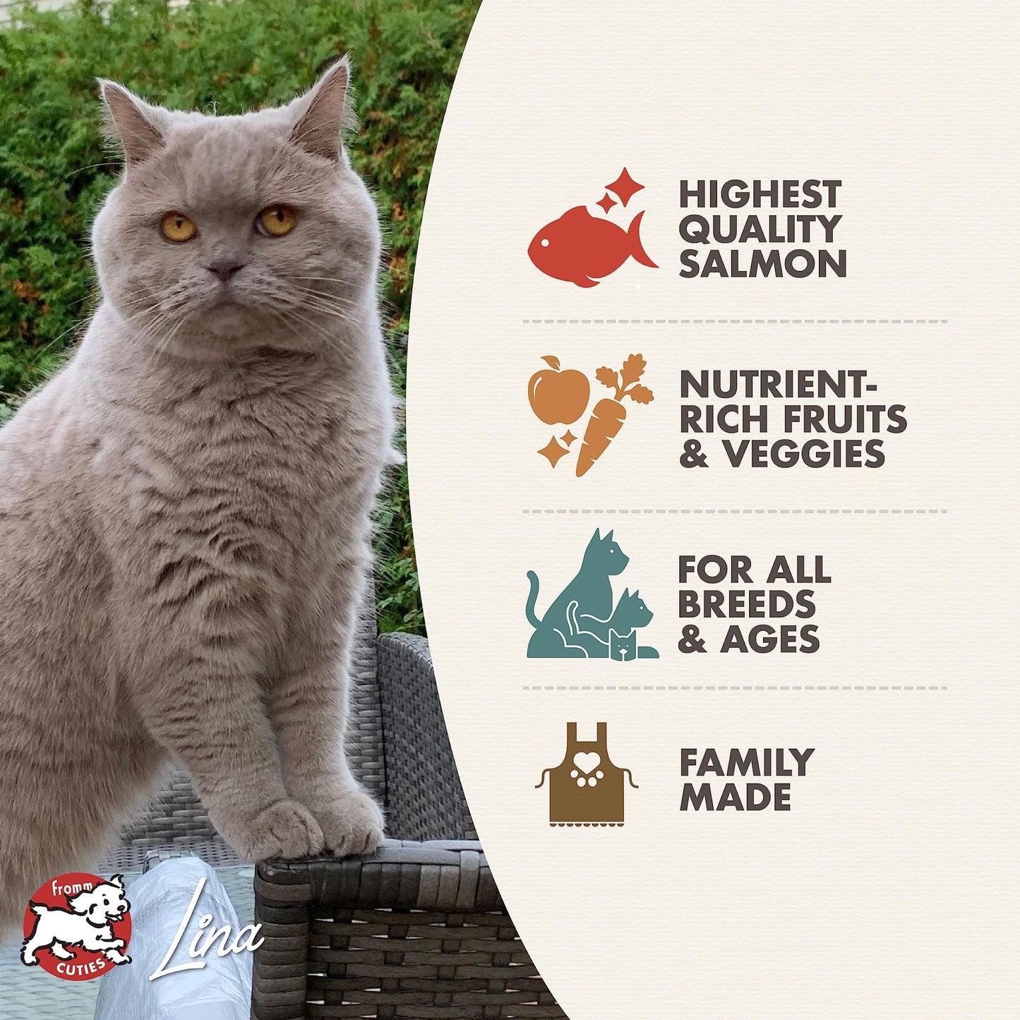 Fromm Four - Star Nutritionals, Grain - Free Salmon Tunachovy Dry Cat Food, 4Lb