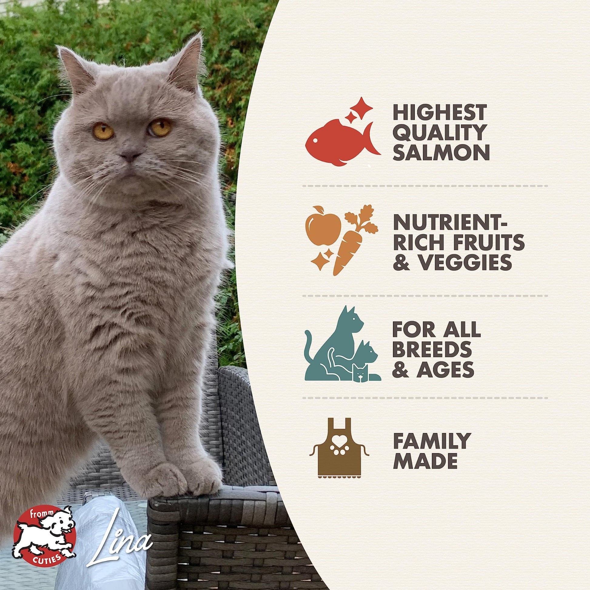 Fromm Four - Star Nutritionals, Grain - Free Salmon Tunachovy Dry Cat Food, 4Lb