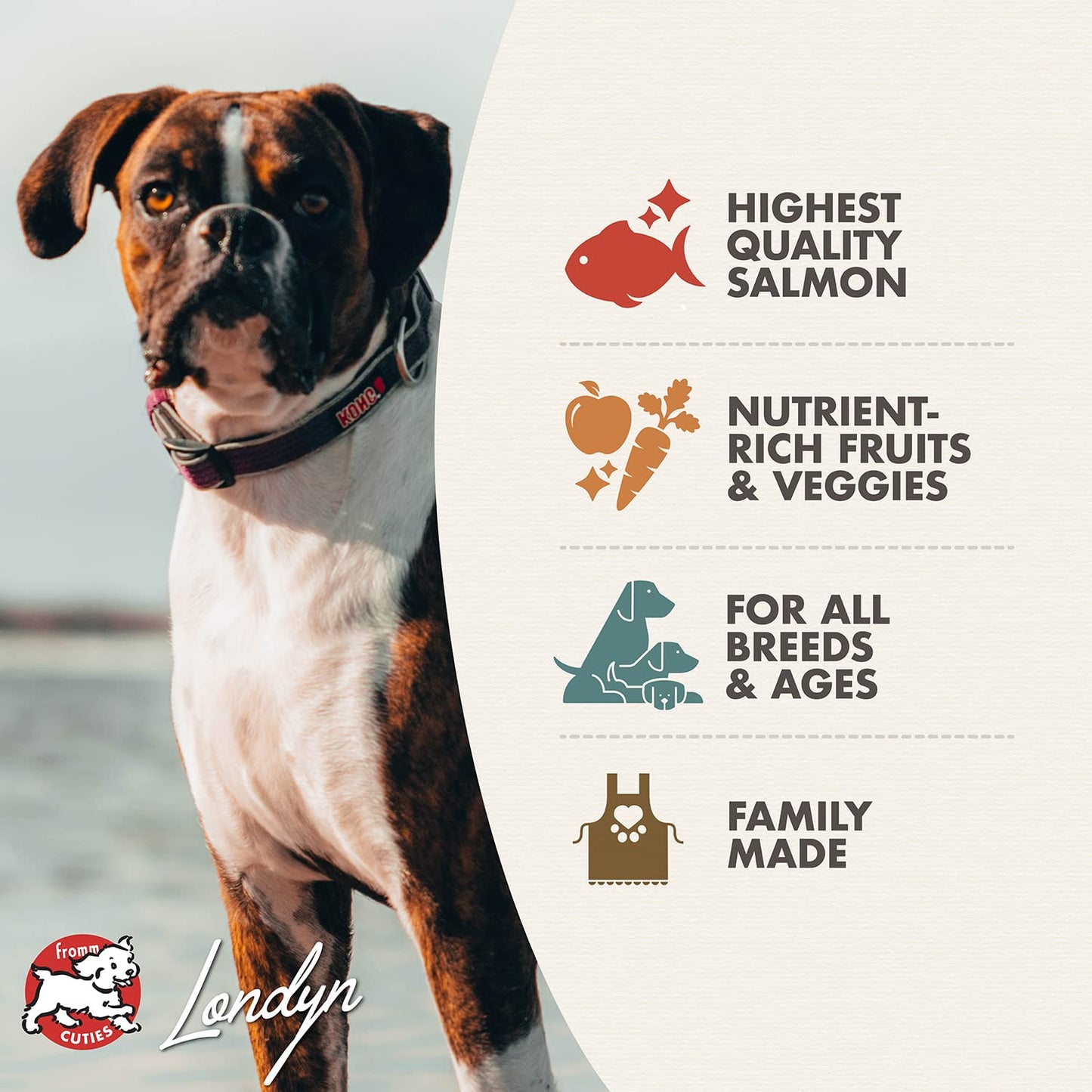 Fromm Four - Star Nutritionals Salmon A La Veg Dog Food - Premium Dry Dog Food - Salmon Recipe - 4 lb