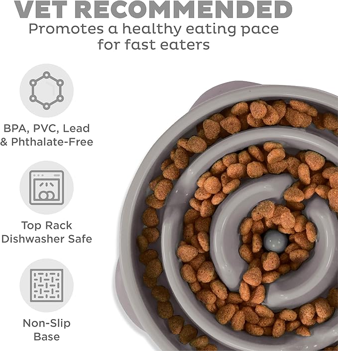 Fun feeder slo bowl outward hound