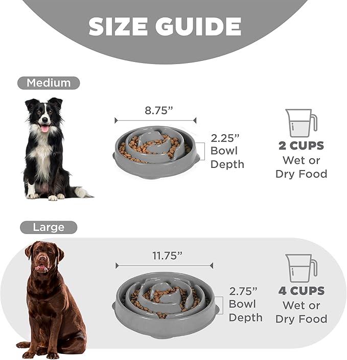 Fun feeder slo bowl outward hound