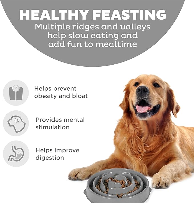 Fun feeder slo bowl outward hound