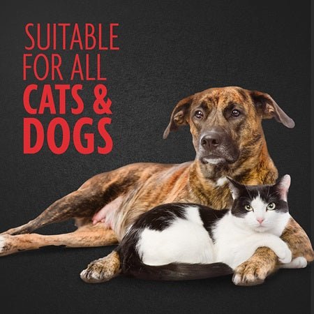 FURminator Hair Collection Dog & Cat Brush