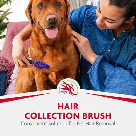 FURminator Hair Collection Dog & Cat Brush