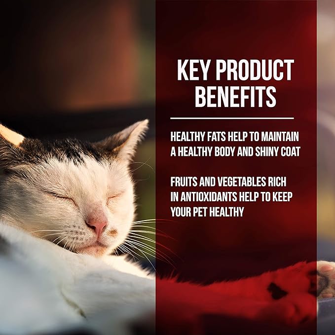 Fussie cat market fresh chicken Turkey meal cat food 10lb