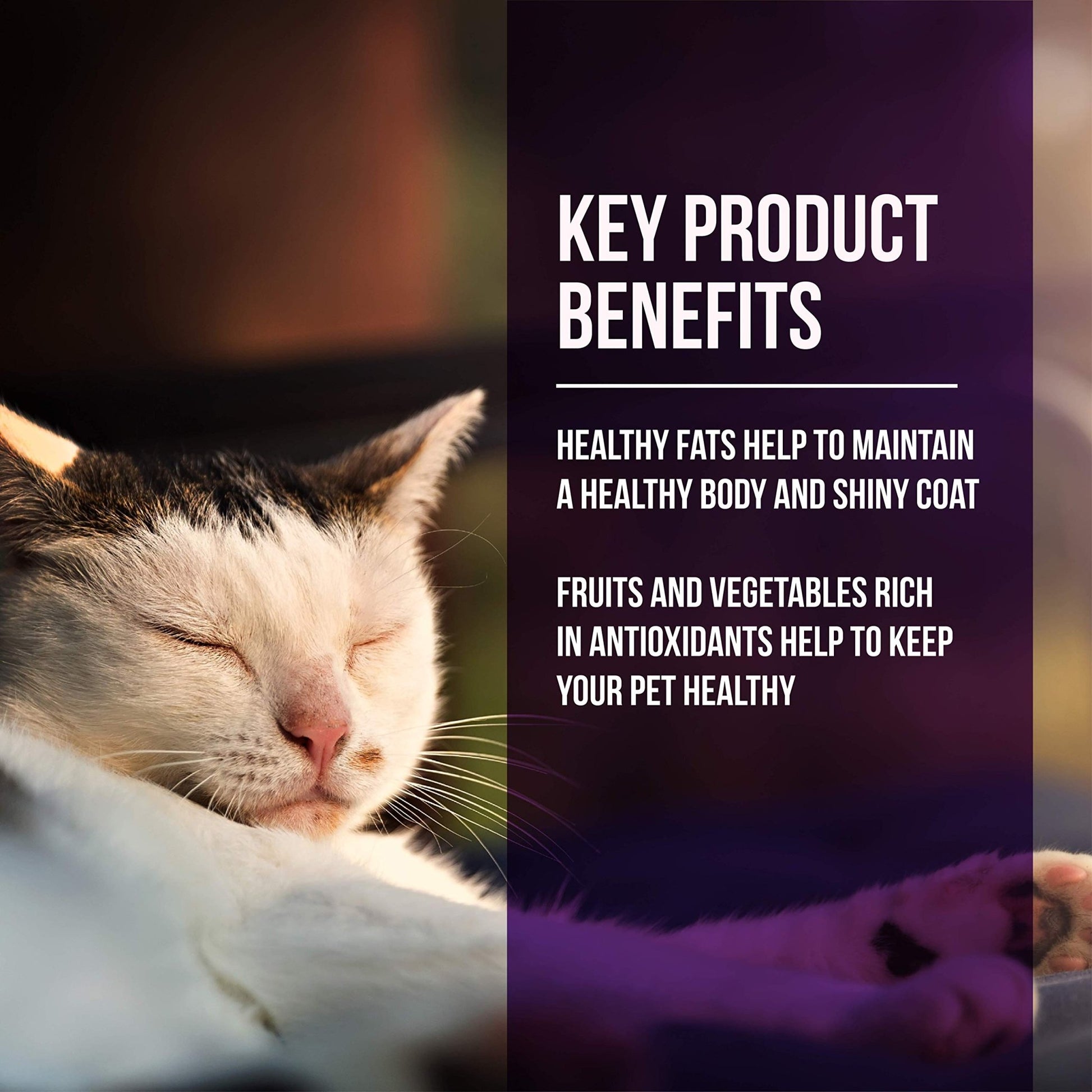 Fussie Cat Market Fresh Quail & Duck Meal Formula Grain - Free Dry Cat Food 10lb