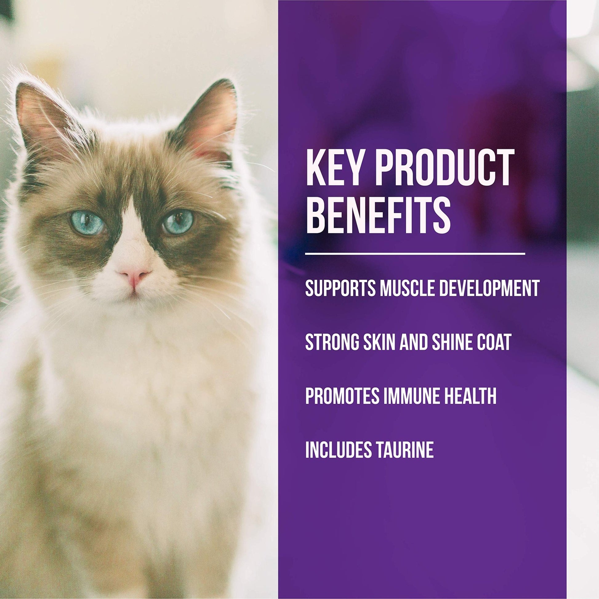 Fussie Cat Market Fresh Quail & Duck Meal Formula Grain - Free Dry Cat Food 10lb