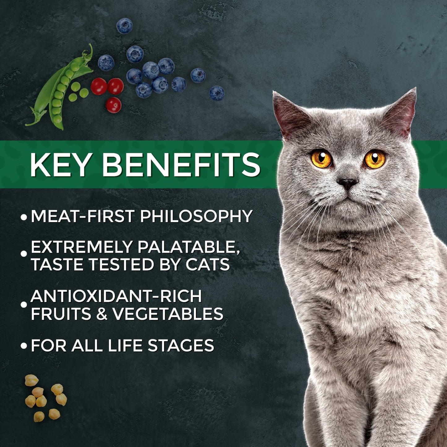 Fussie Cat Market Fresh Salmon & Chicken Recipe, Dry Cat Food, 3.5lb Bag