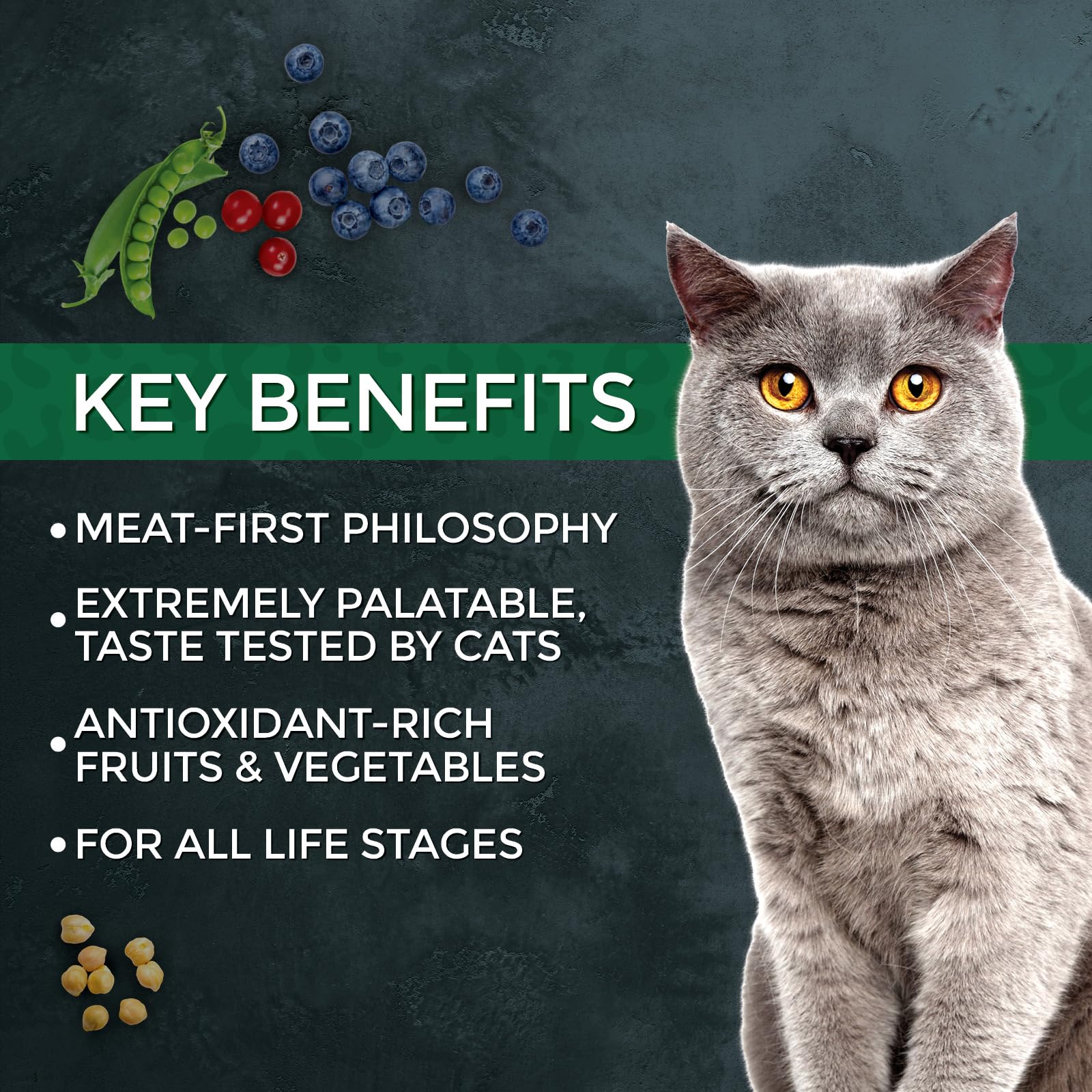 Fussie Cat Market Fresh Salmon & Chicken Recipe, Dry Cat Food, 3.5lb Bag