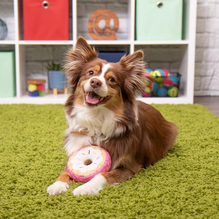 Go dog donut dog toy small
