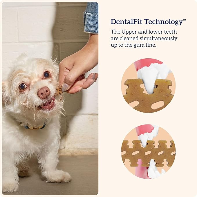 Groovies dental fit - small dog 22 count