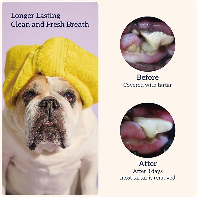 Groovives senior dental fit technology - medium 10 dog chews