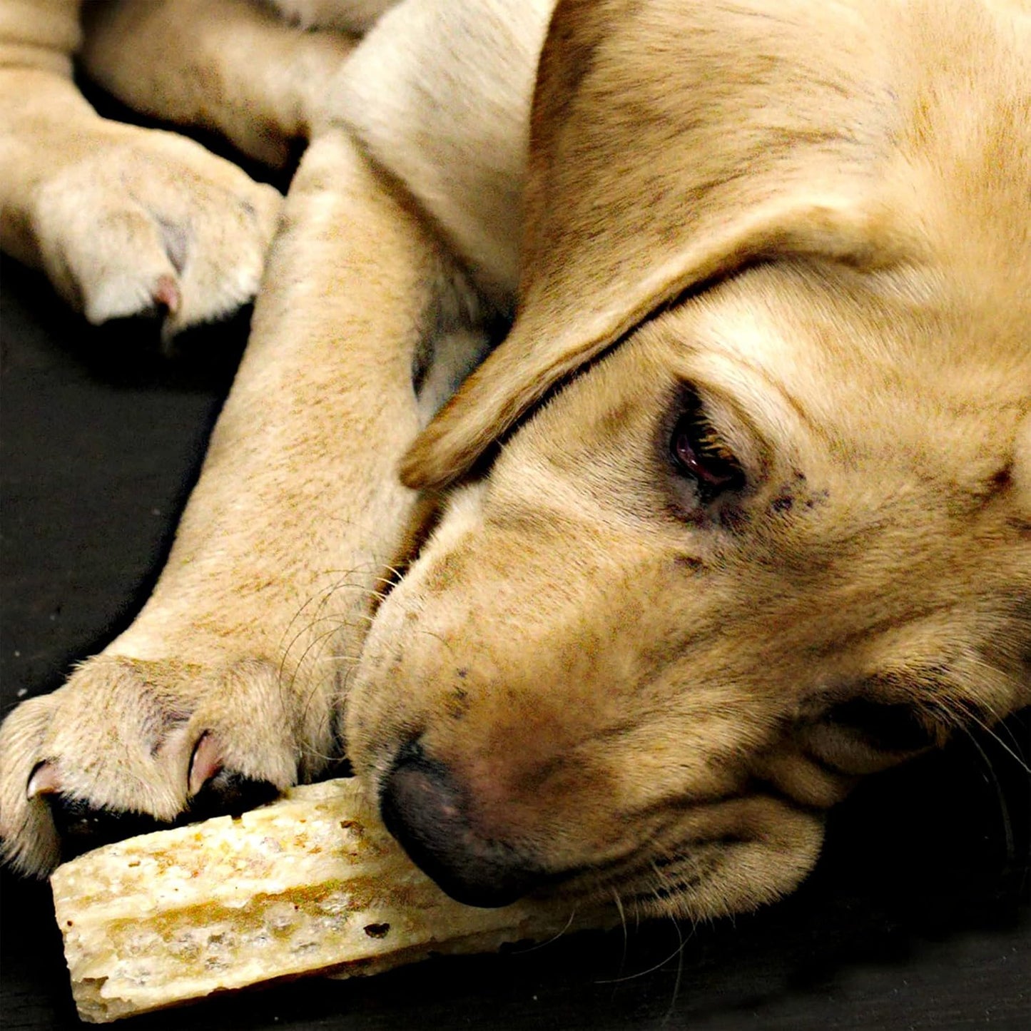 Happy teeth Himalayan dog chew cheese all sizes