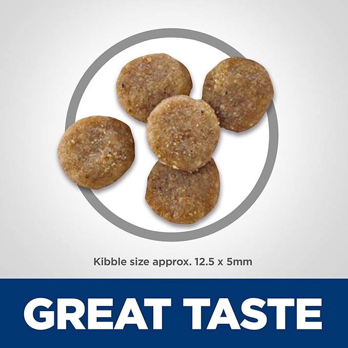 Hill's Science Diet Adult Sensitive Stomach & Skin Dry Cat Food 13lbs 603928