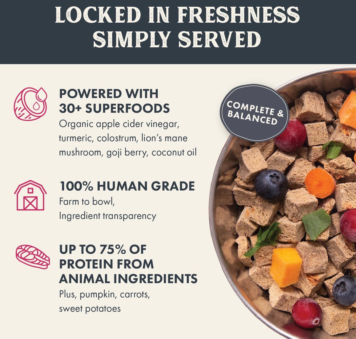 Holistic health extension Gently Air Dried Salmon Recipe 12oz