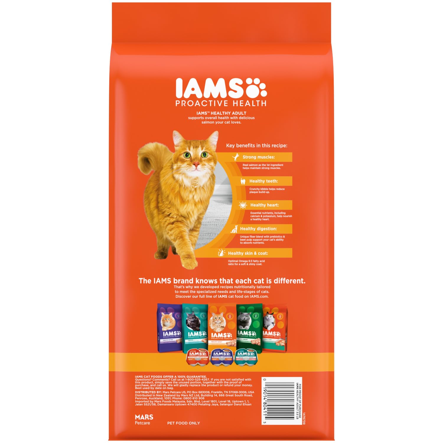 Iams Proactive Health Adult Healthy Dry Cat Food with Salmon – 3.5 lbs