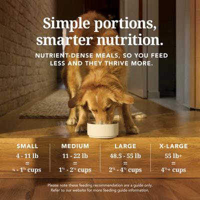 K9 Natural New Zealand beef feast feed or top 3.5 oz freeze dried dog food