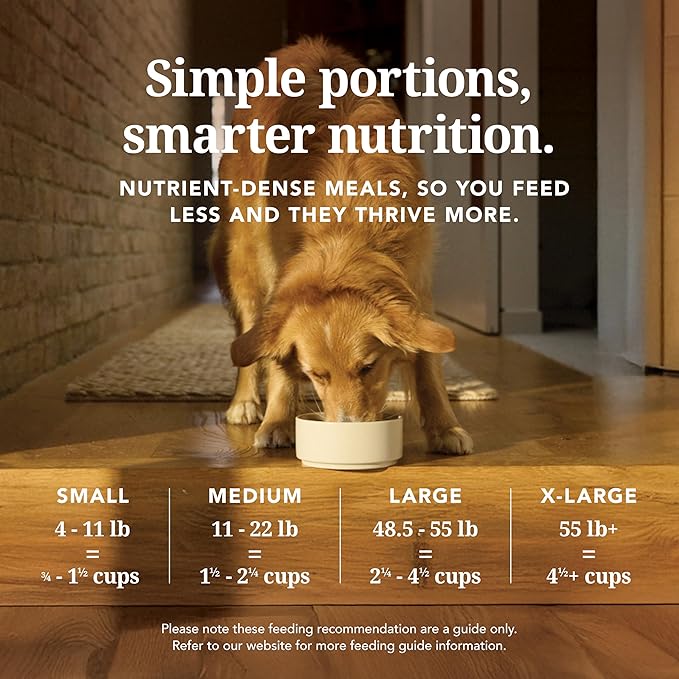 K9 Natural New Zealand chicken feast feed or top 3.5 oz freeze dried dog food