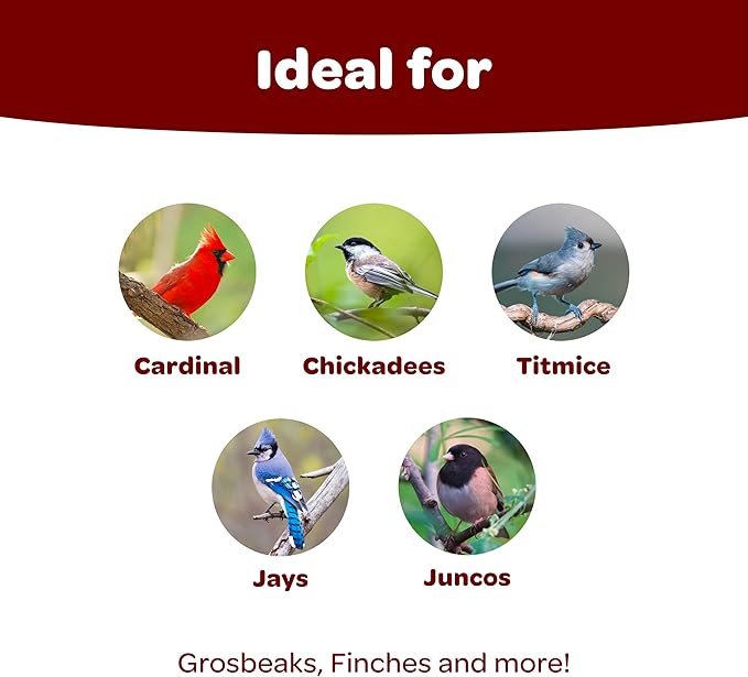 Kaytee Birders Blend Wild Bird Food 7lbs