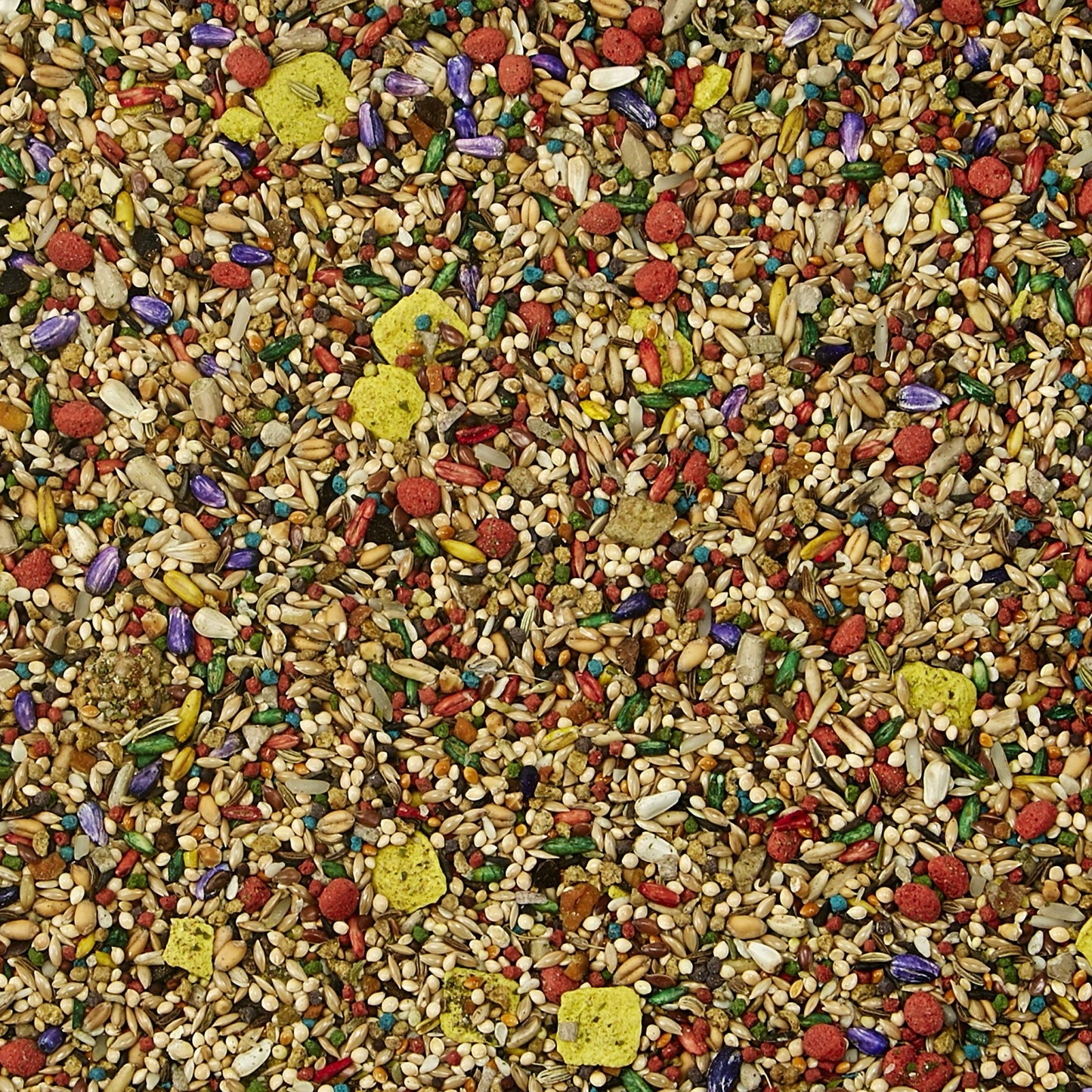 Kaytee Fiesta Parakeet Food 2 Lb