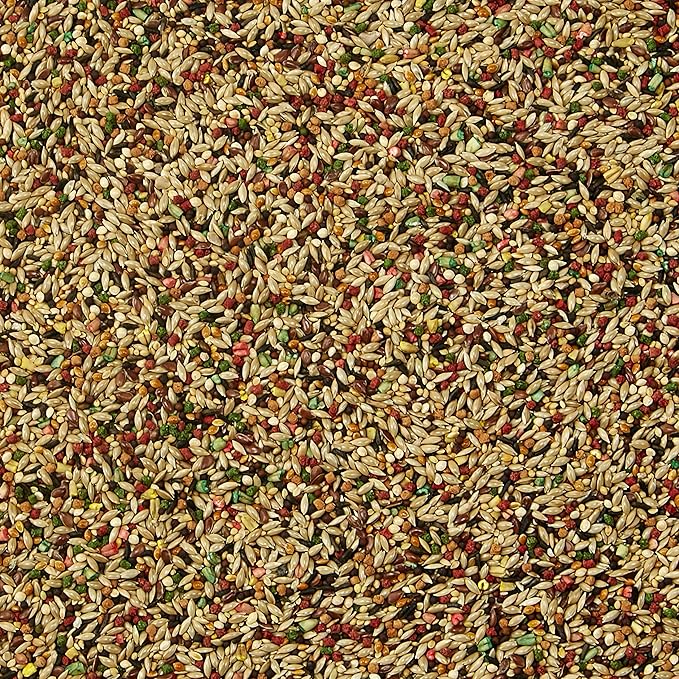 Kaytee Forti - Diet Pro Health Pet Canary & Finch Food, 2 lb