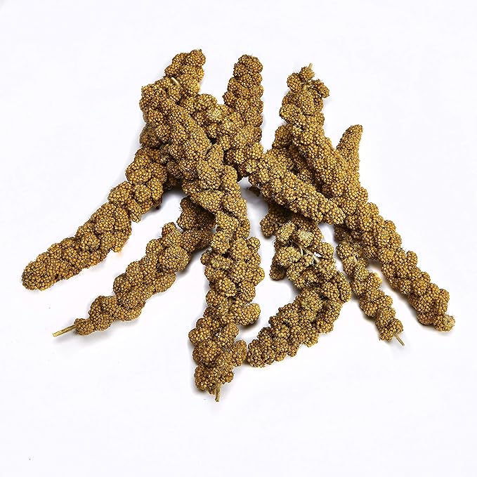 Kaytee natural spray millet 7oz